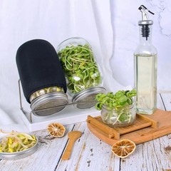 Organic Seed Sprouting Jar Kit – 2 5.7 x 7.67 x 9.44 inches, Stainless Steel