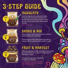 6lbs All-in-One Mushroom Grow Kit in a Bag | HUGE FLUSHES | Easy to Use