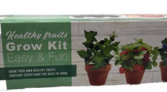 Total Green Healthy Fruits Grow Kit Easy & Fun Non- GMO Seeds