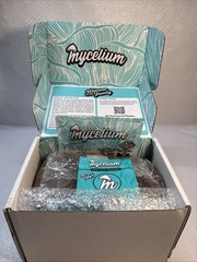 Mycelium Growing Kit New Myceliumlife