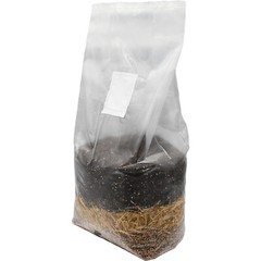 All-In-One Mushroom Grow Bag (10lbs)