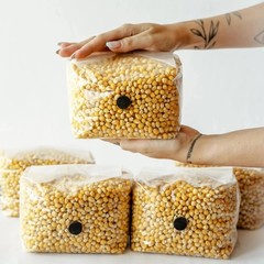 6 Pack | 3lb Drippy Corn Grain Spawn