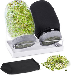 Seed Sprouting Jar Kit with 2 Wide Mouth Mason Jars Bean Sprouts Growing Kit …