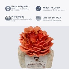 Pink Oyster Mushroom Grow Kit – Easy 10-Day Cultivation, Perfect Gardening Gift!