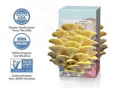Organic Edible 4lbs Golden Oyster Mushroom Growing Kit, Made in USA, Double-Side