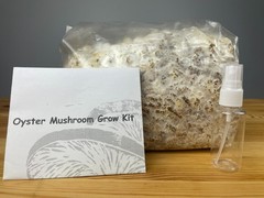 Mushroom Grow Kit Variety Pack, 3 x 5# blocks, ready to fruit!