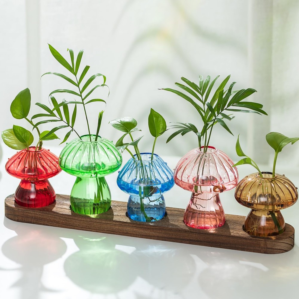 Glass Propagation Station for Plant: Mushroom Planter Set of 5, Multicolor