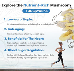 Golden Oyster Mushroom Grow Kit 4lb Organic USA—Grow Fancy Fungi Fast Fun