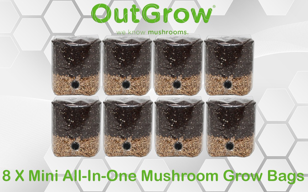 8 X Mini All In One Mushroom Grow Bags