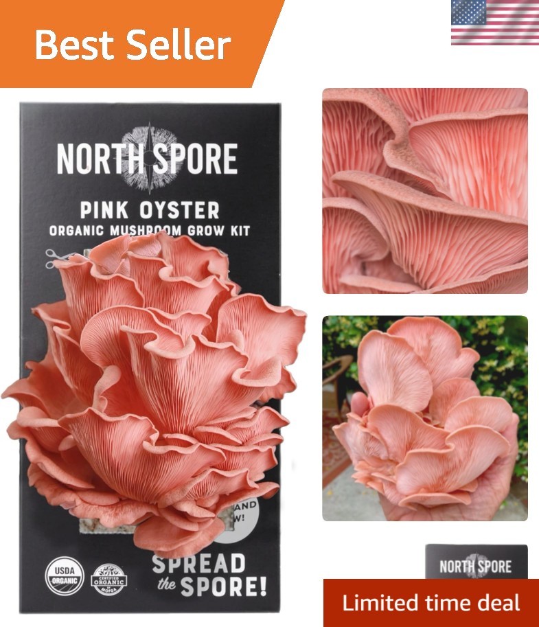 Beginner-Friendly Pink Oyster Mushroom Grow Kit – Just Spray & Watch Them Grow!