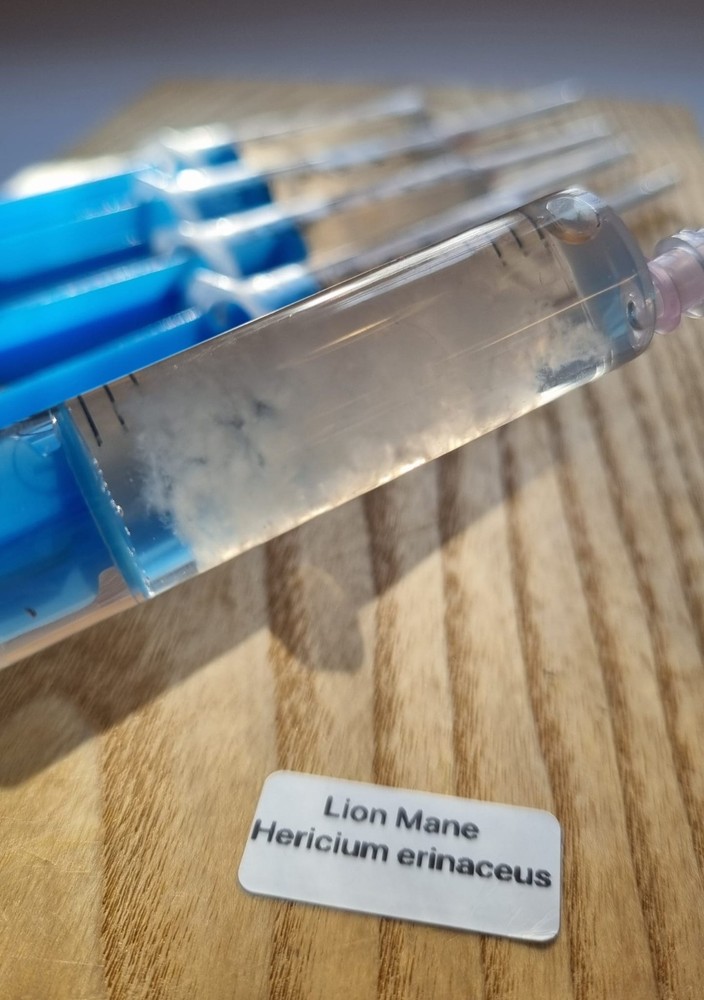 Lion’s Mane Mushroom Spore Syringe