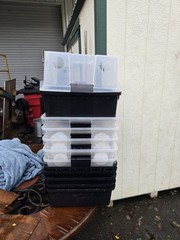 I Have 5 Of These In Good Order, I Can Clean Them Like One In Pic. Been Used