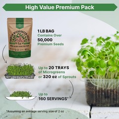 Organo Republic Radish Sprouting & Microgreens Seeds – 1 lb, Green, Pink