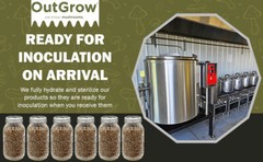 12 Quart Jars of Sterilized Rye Grains with Self Healing Injection Ports