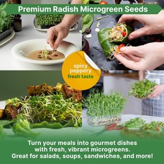 Organo Republic Radish Sprouting & Microgreens Seeds – 1 lb, Green, Pink