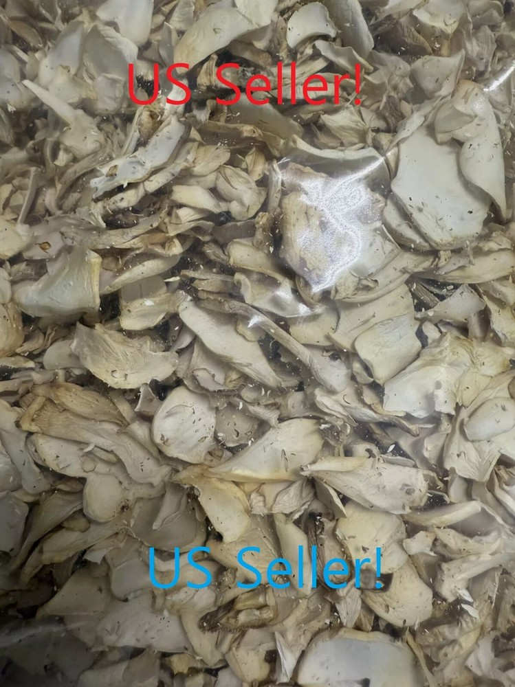 Smallhold Organic Dried King Oyster Trumpet Mushrooms 1.5 Pounds US Seller