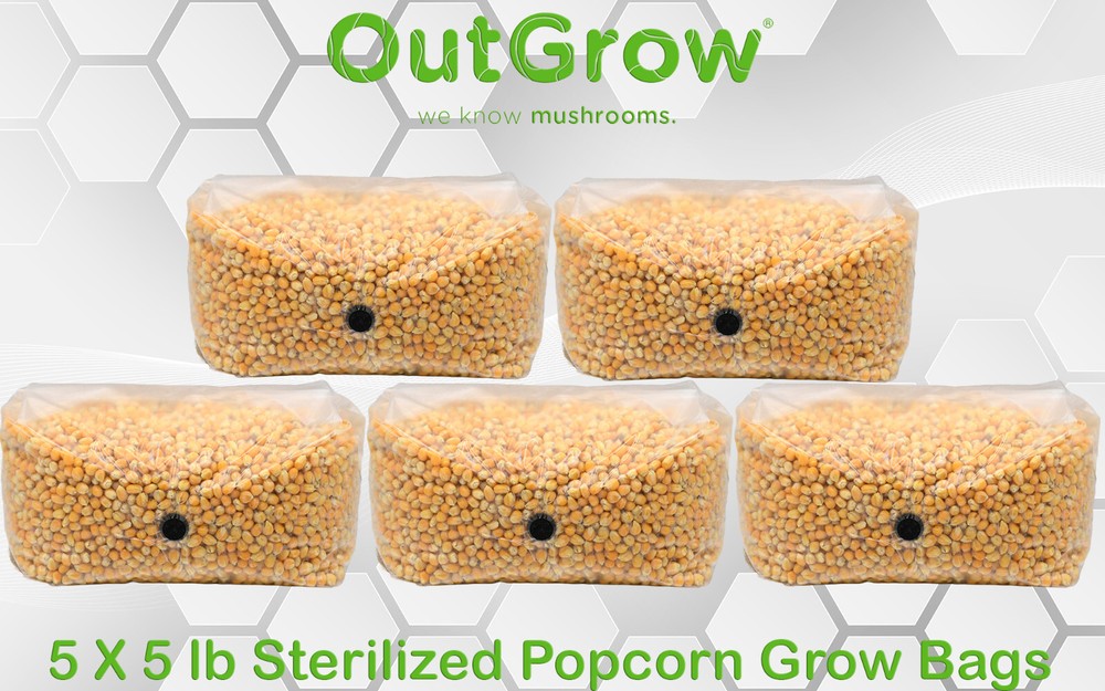 Sterilized Popcorn Grow Bag (25lbs)