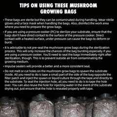 Durable 60-Pack Mushroom Grow Bags with Microporous Filters for Optimal Growth