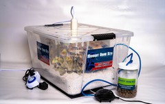 Mega Mushroom Growing & Incubator Kit | Fully Automated | 18 Sterilized Jars