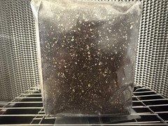 Premium Sterile Bulk Mushroom Substrate For Dung-Loving Species CVG BLEND 2lbs.