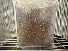 Premium Sterile Bulk Mushroom Substrate For Dung-Loving Species CVG BLEND 2lbs.