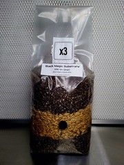 Premium Exotic Dung ALL-IN-ONE Mushroom Grow Kit 3 Pack Kit 5lb Bag