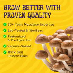 6lbs All-in-One Mushroom Grow Kit in a Bag | HUGE FLUSHES | Easy to Use