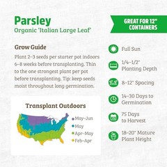 100% Organic Seed Packet – Parsley ‘Italian Large Leaf’ 420mg