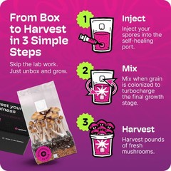 All-in-One Mushroom Grow Kit – 4LB Self-Healing Bag, Fast-Colonizing Substrate,