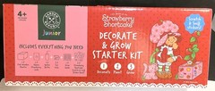 Strawberry Shortcake Decorate & Grow Starter Kit for Kids – Brand New in Box