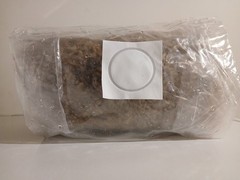 SALE PRICE! Mushroom Growing Substrate – Whole Oats 3lbs – Sterilized Grain