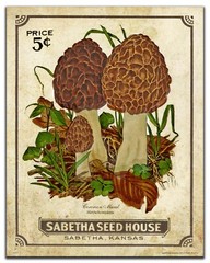 Vintage Kansas Seed Packet Morel Mushrooms Art Print 11×14 Kitchen Wall Decor
