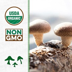 Organic Shiitake Mushroom Kit; Great Gift; Easy for Beginners, for Indoor Growin