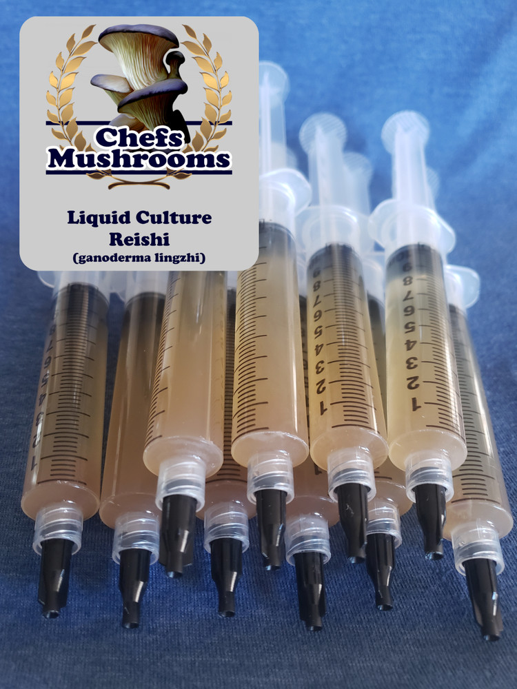 Reishi Liquid Culture – 12cc Syringe – 10 Pack – Chefs Mushrooms