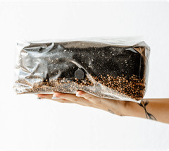 6 Pack | 6 lb All-in-One Mushroom Grow Kit