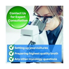 Mushroom Liquid Culture Premix 100 Grams – Evviva Sciences – Make Liters o