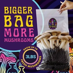 6 Pack All-in-One Mushroom Grow Kit in a Bag | MAX YIELD | 6lbs | 36 lbs total!!