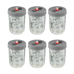 6 Pack Mushroom Growing Supplies – Liquid Culture Jars 500ML with Filter Ports
