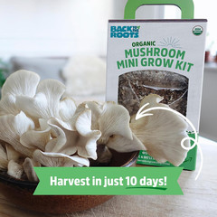 Organic Mini Mushroom Grow Kit, Harvest Gourmet Oyster Mushrooms in 10 Days