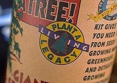 Giant Sequoia | Tree Seed Grow Kit |