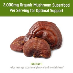 Om Mushroom Superfood Reishi Organic 7.05 Ounce (Pack of 1), No Color