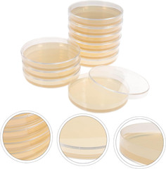 Agar Plates 10Pcs Nutrient Agar Plate Toy Tools Glass Mushroom Tools Prepoured P