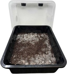 Complete Mushroom Monotub Grow Kit for Dung-Loving Mushrooms – Just Add Spores!
