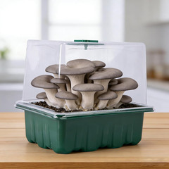4 Pack Monotub Mushroom Grow Kit, 6.5″ X 5″ X 6.5″ Small Mushroom Fruiting Chamb