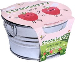 Seeds Strawberry Grow Kit – Basin Ceramic Planter – Complete Indoor/Outdoor G…