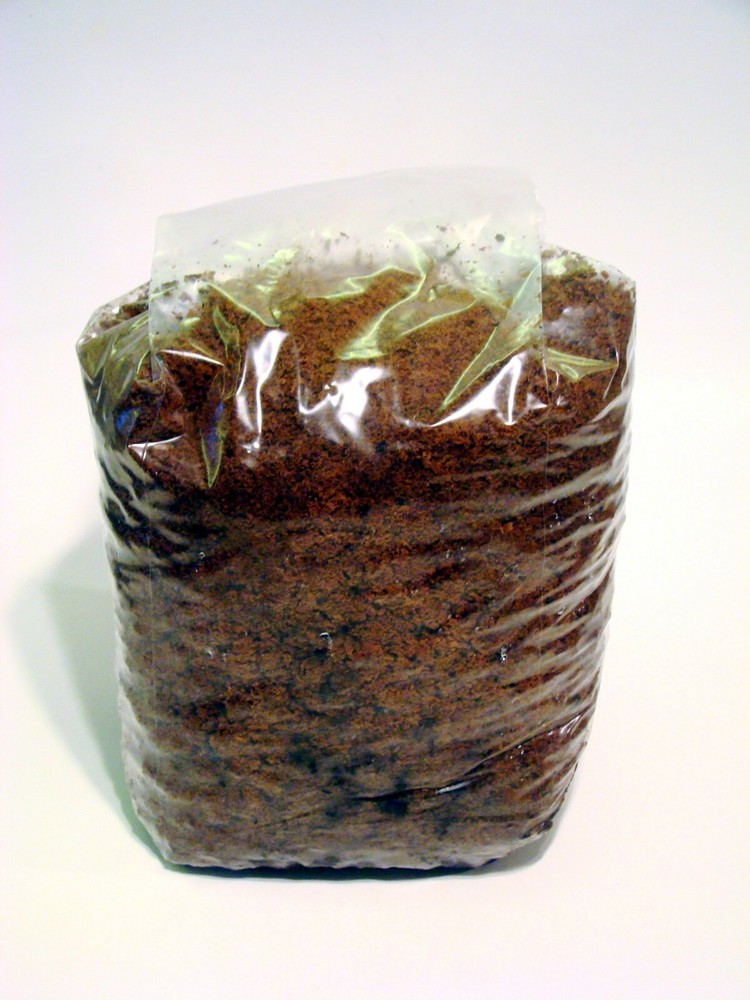 Mushroom Bulk Substrate 5+ LBS / 1.5 GALLON – Hardwood Sawdust – Sterilized