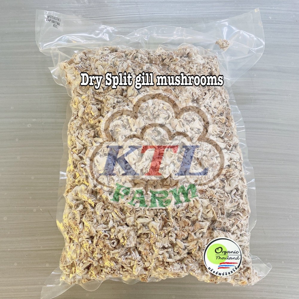 Dry split gill mushroom ,Schizophyllum commune 100 gram.per 1 vacuum bag.