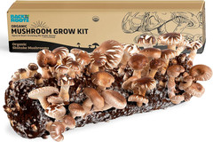 Organic Shiitake Mushroom Kit; Great Gift; Easy for Beginners, for Indoor Growin