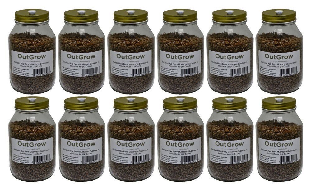 12 Quart Jars of Sterilized Rye Grains with Self Healing Injection Ports