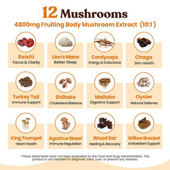 Mushroom Coffee (40 Servings) 12 Adaptogenic Mushrooms, Lion’s Mane, Cordyceps,